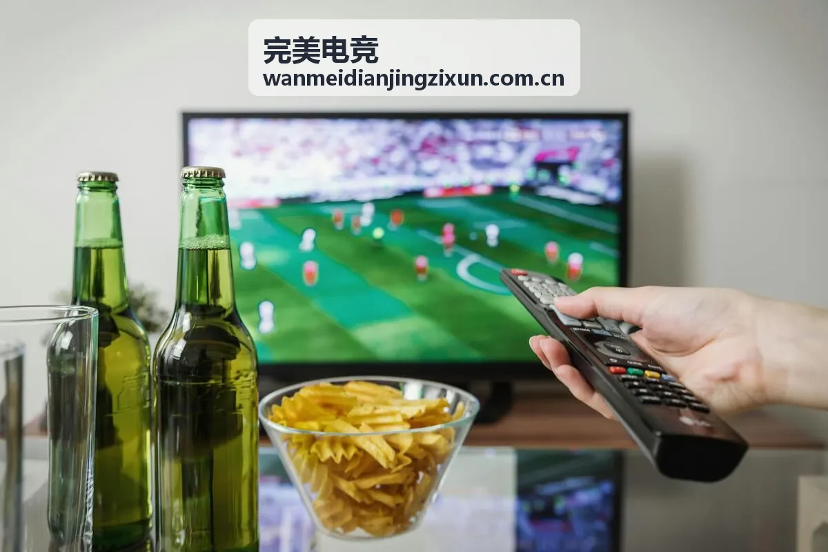 完美电竞战队管理案例